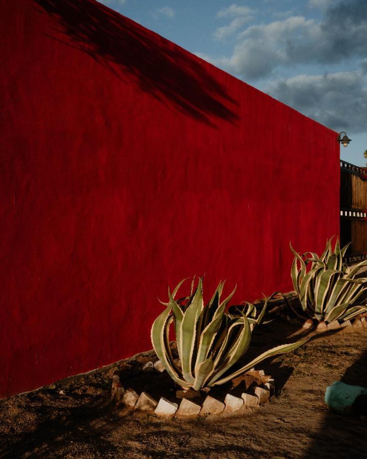 Cabana R Y A Valle De Guadalupe Esterno foto